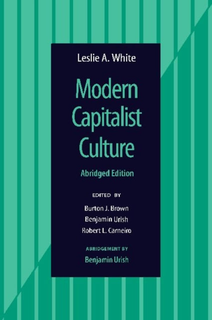 Modern Capitalist Culture, Abridged Edition