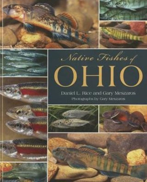 Book cover of: Native Fishes of Ohio. By: Daniel L. Rice
