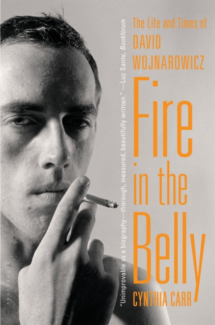 Book cover of: Fire in the Belly. By: Cynthia Carr