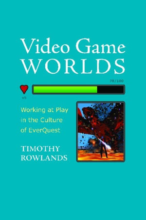 Video Game Worlds