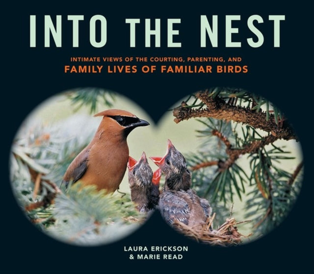 Book cover of: Into the Nest. By: Laura Erickson