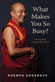 Book cover of: What Makes You So Busy?. By: Khenpo Sodargye