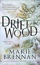 Book cover of: Driftwood. By: Marie Brennan