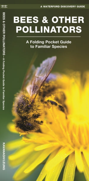 Bees & Other Pollinators