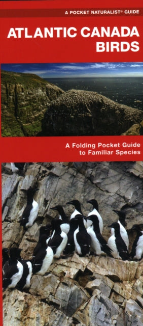 Book cover of: Atlantic Canada Birds. By: James Kavanagh