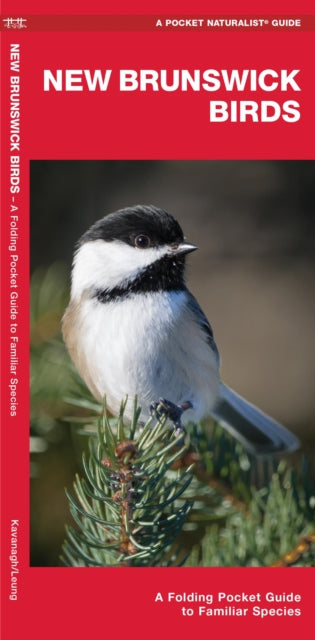 Book cover of: New Brunswick Birds. By: James Kavanagh