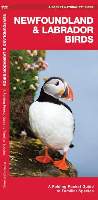 Book cover of: Newfoundland & Labrador Birds. By: James Kavanagh