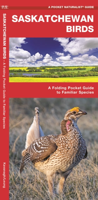 Book cover of: Saskatchewan Birds. By: James Kavanagh