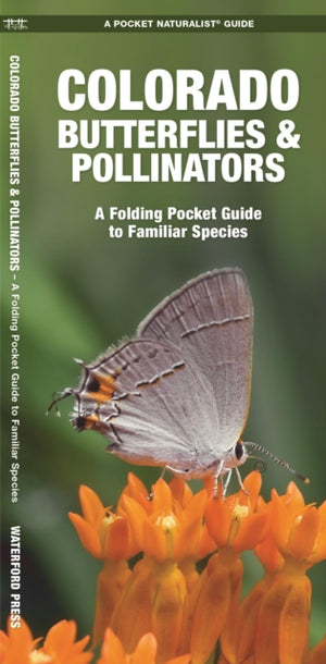 Colorado Butterflies & Pollinators