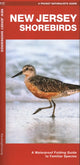 Book cover of: New Jersey Shorebirds. By: James Kavanagh
