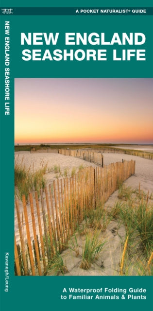 Book cover of: New England Seashore Life. By: James Kavanagh