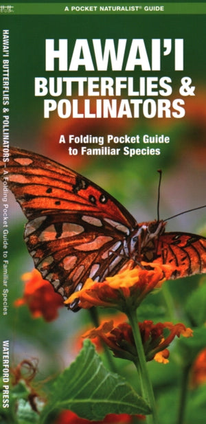 Hawai'i Butterflies and Pollinators