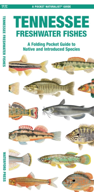 Book cover of: Tennessee Freshwater Fishes. By: Waterford Press Staff