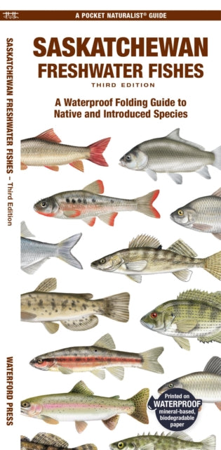 Book cover of: Saskatchewan Freshwater Fishes. By: Matthew Morris