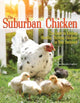 Book cover of: Suburban Chicken. By: Kristina Mercedes Urquhart