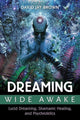 Book cover of: Dreaming Wide Awake. By: David Jay Brown