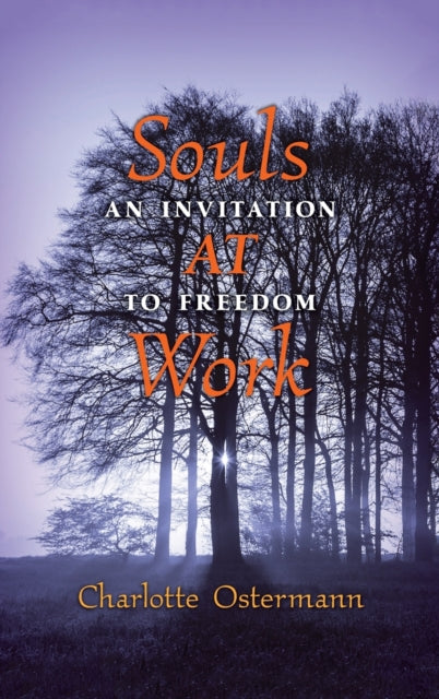 Book cover of: Souls at Work. By: Charlotte Ostermann