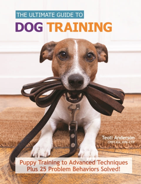 The Ultimate Guide to Dog Training