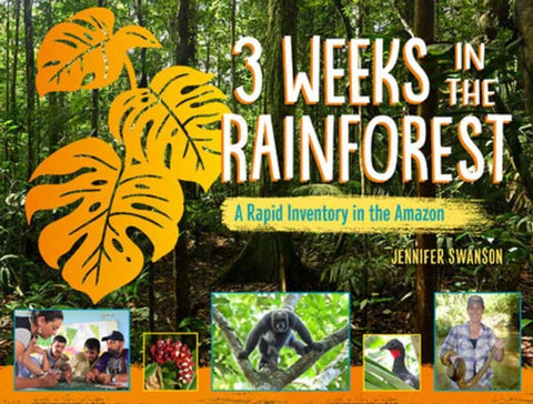 3 Weeks in the Rainforest