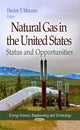 Book cover of: Natural Gas in the United States