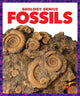 Book cover of: Fossils