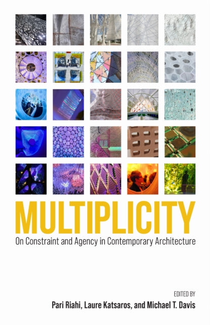 Book cover of: Multiplicity. By: Pari Riahi
