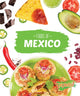 Book cover of: Mexico. By: Christine VeLure Roholt