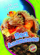 Book cover of: Sea Anemones. By: Mari C. Schuh