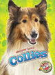 Book cover of: Collies. By: Mari C. Schuh