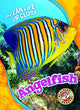 Book cover of: Angelfish. By: Nathan Sommer