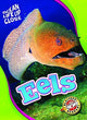 Book cover of: Eels. By: Nathan Sommer