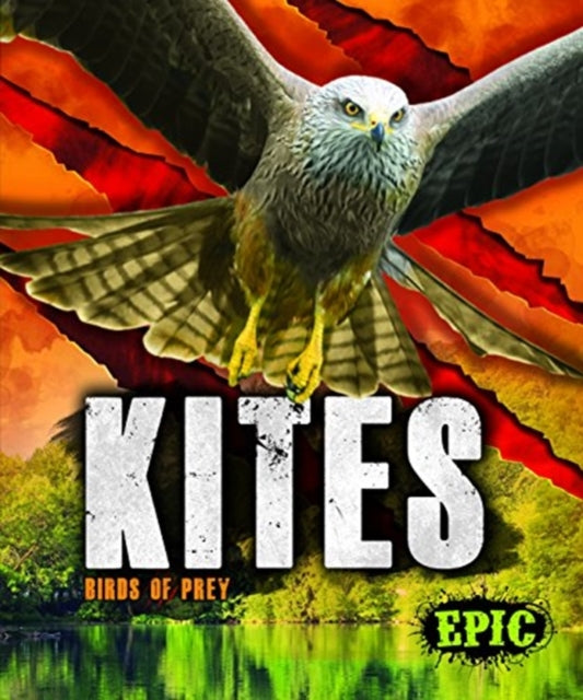Book cover of: Kites. By: Nathan Sommer