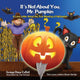 Book cover of: It's Not About You, Mr. Pumpkin. By: Soraya Diase Coffelt