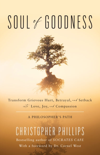 Book cover of: Soul of Goodness. By: Christopher Phillips