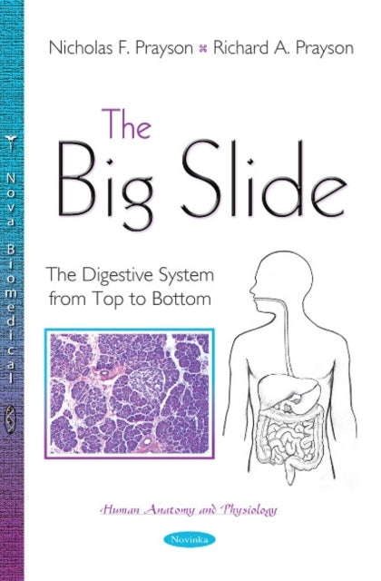 Book cover of: Big Slide. By: Nicholas F. Prayson