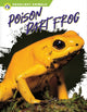 Book cover of: Poison Dart Frog. By: Golriz Golkar