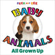 Peek and See Baby Animals All Grown Up 9781641242981 Editors of Happy Fox Books