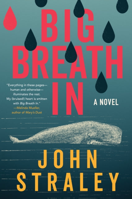 Book cover of: Big Breath In
