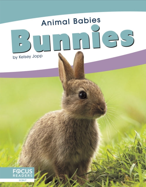 Book cover of: Bunnies. By: Kelsey Jopp