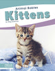 Book cover of: Kittens. By: Meg Gaertner