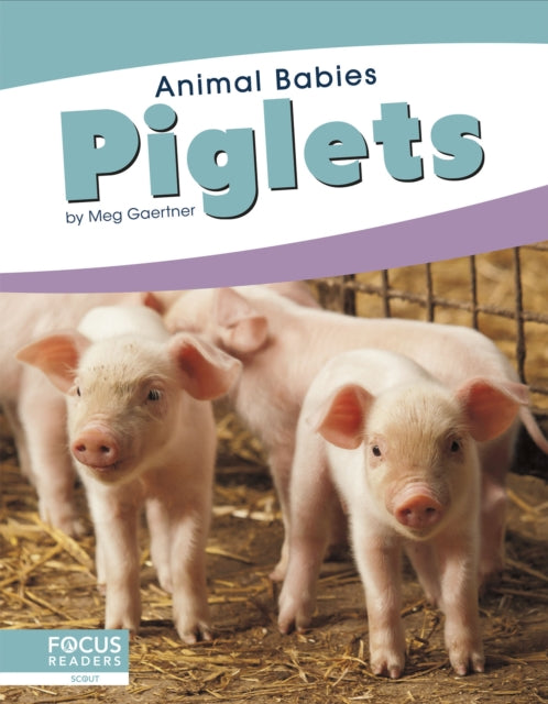Book cover of: Piglets. By: Meg Gaertner