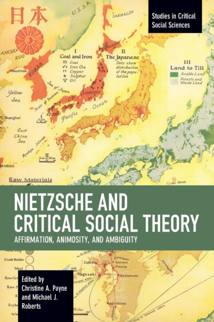Book cover of: Nietzsche and Critical Social Theory. By: Christine A. Payne