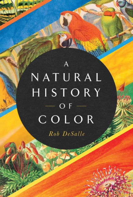 Book cover of: Natural History of Color. By: Rob DeSalle