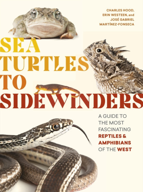 Book cover of: Sea Turtles to Sidewinders. By: Charles Hood