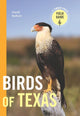 Book cover of: Birds of Texas. By: David Sarkozi
