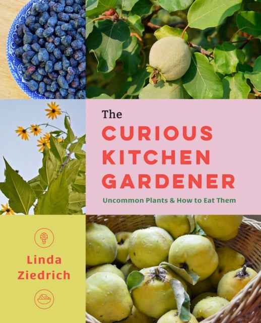 Book cover of: Curious Kitchen Gardener. By: Linda Ziedrich