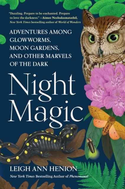 Book cover of: Night Magic. By: Leigh Ann Henion