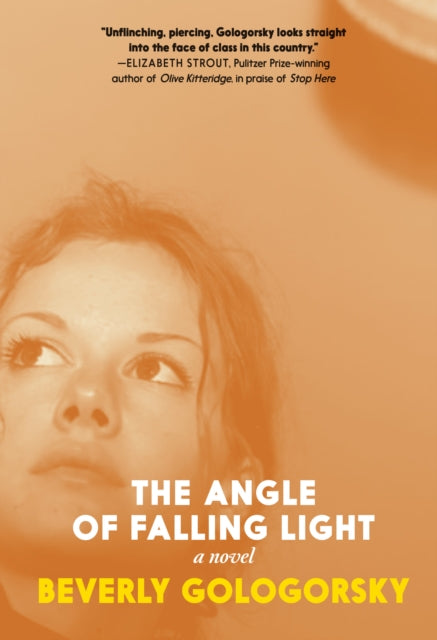 Angle of Falling Light 9781644214633 Beverly Gologorsky