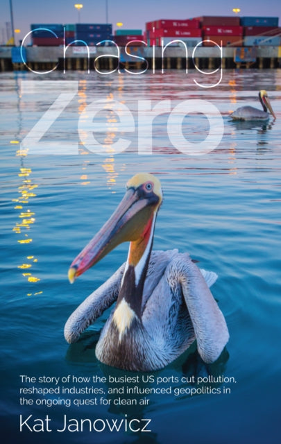 Book cover of: Chasing Zero. By: Kat Janowicz