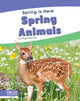 Book cover of: Spring Animals. By: Meg Gaertner